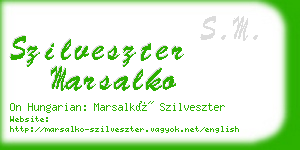 szilveszter marsalko business card